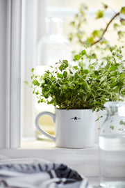 Stoneware Mug - LX10008102