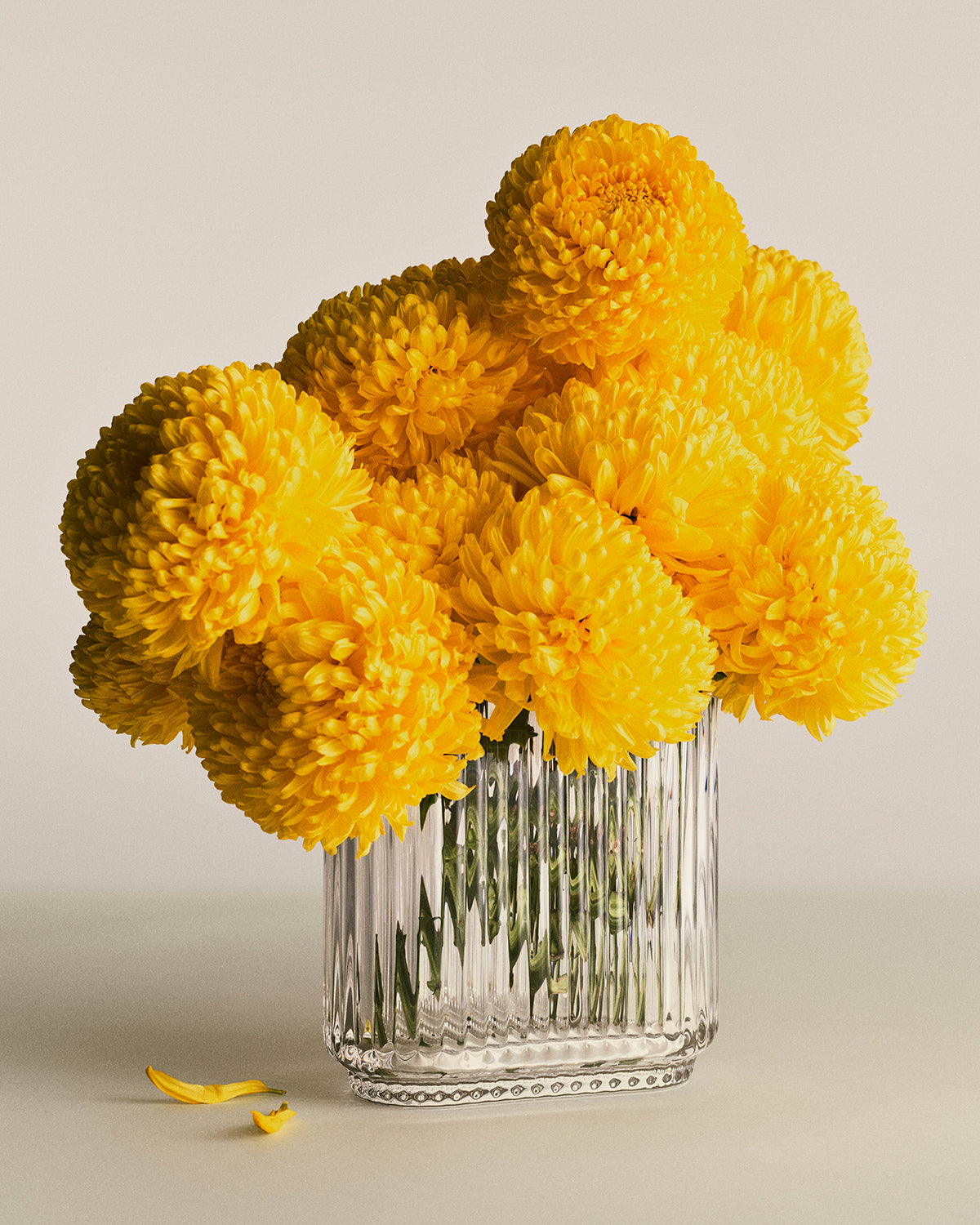 Bernadotte Oval Vase Glass - FIGJ10020607