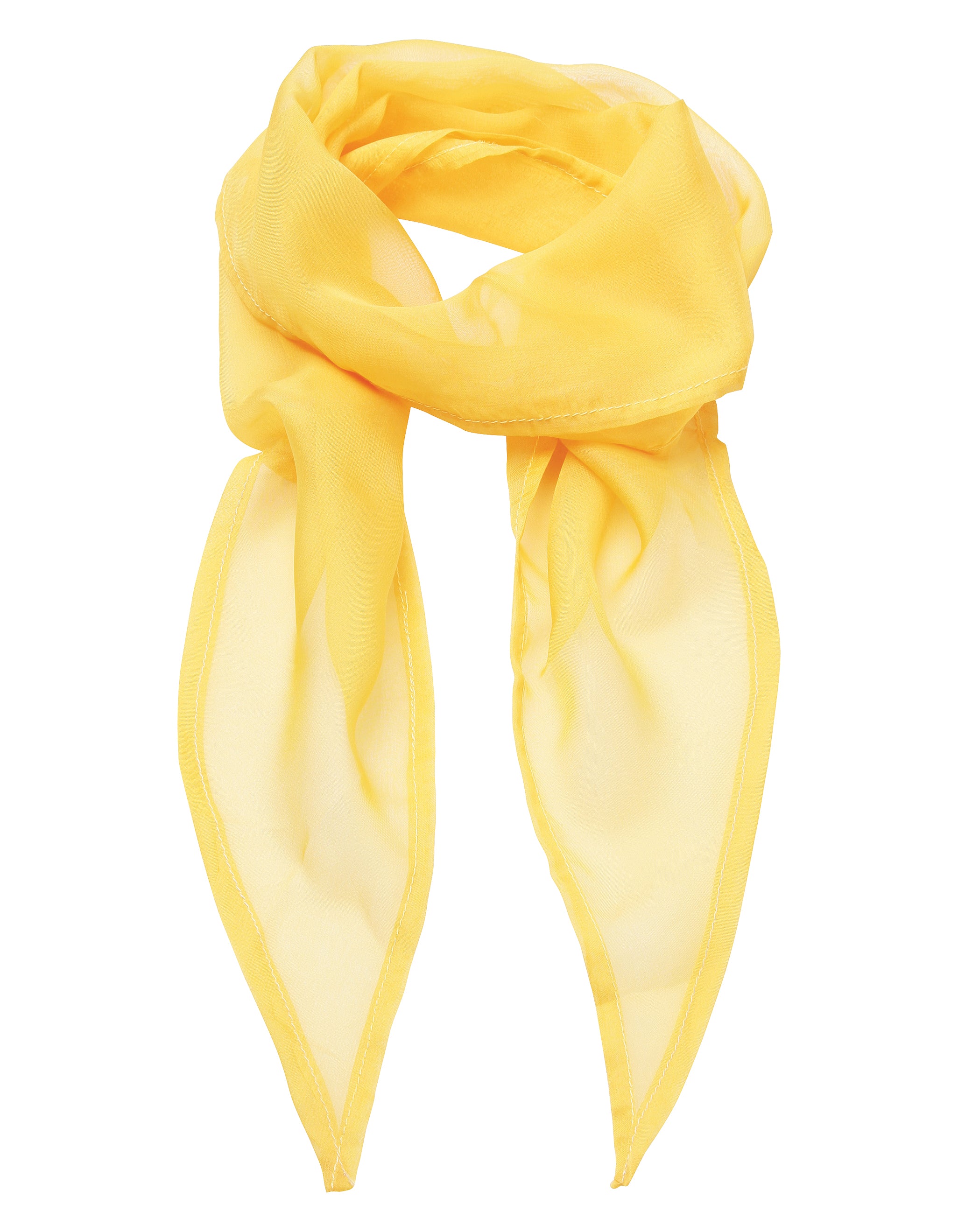 Chiffon Scarf