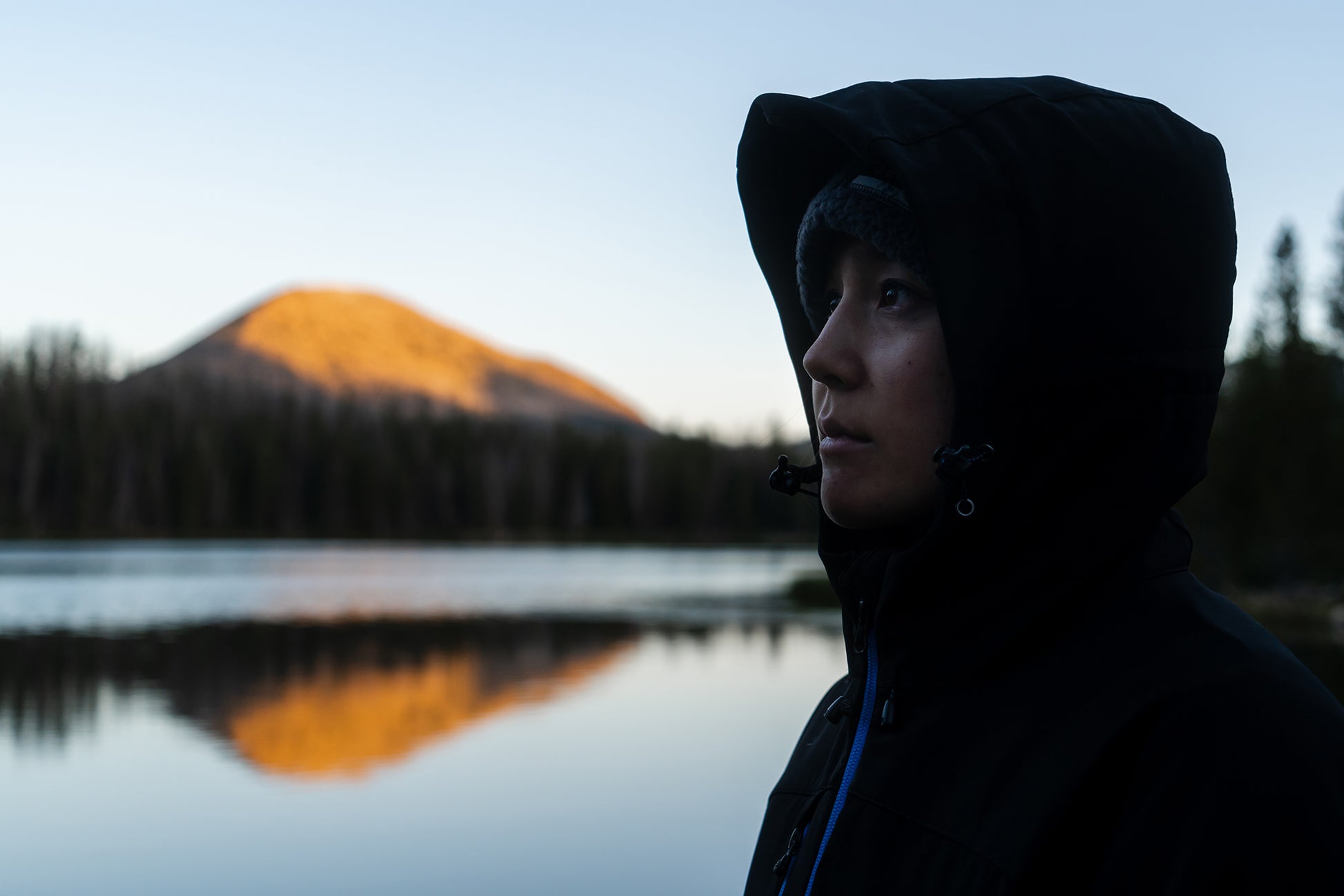 Orbiter Insulated Softshell (D) - SK37