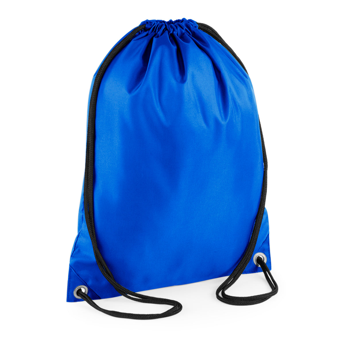 Budget Gymsac