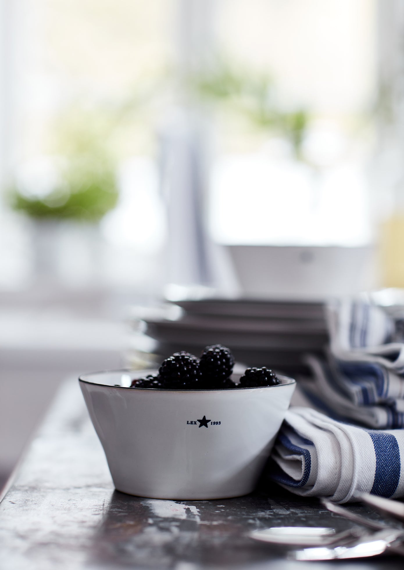 Stoneware Bowl - LX10008101