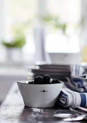 Stoneware Bowl - LX10008101