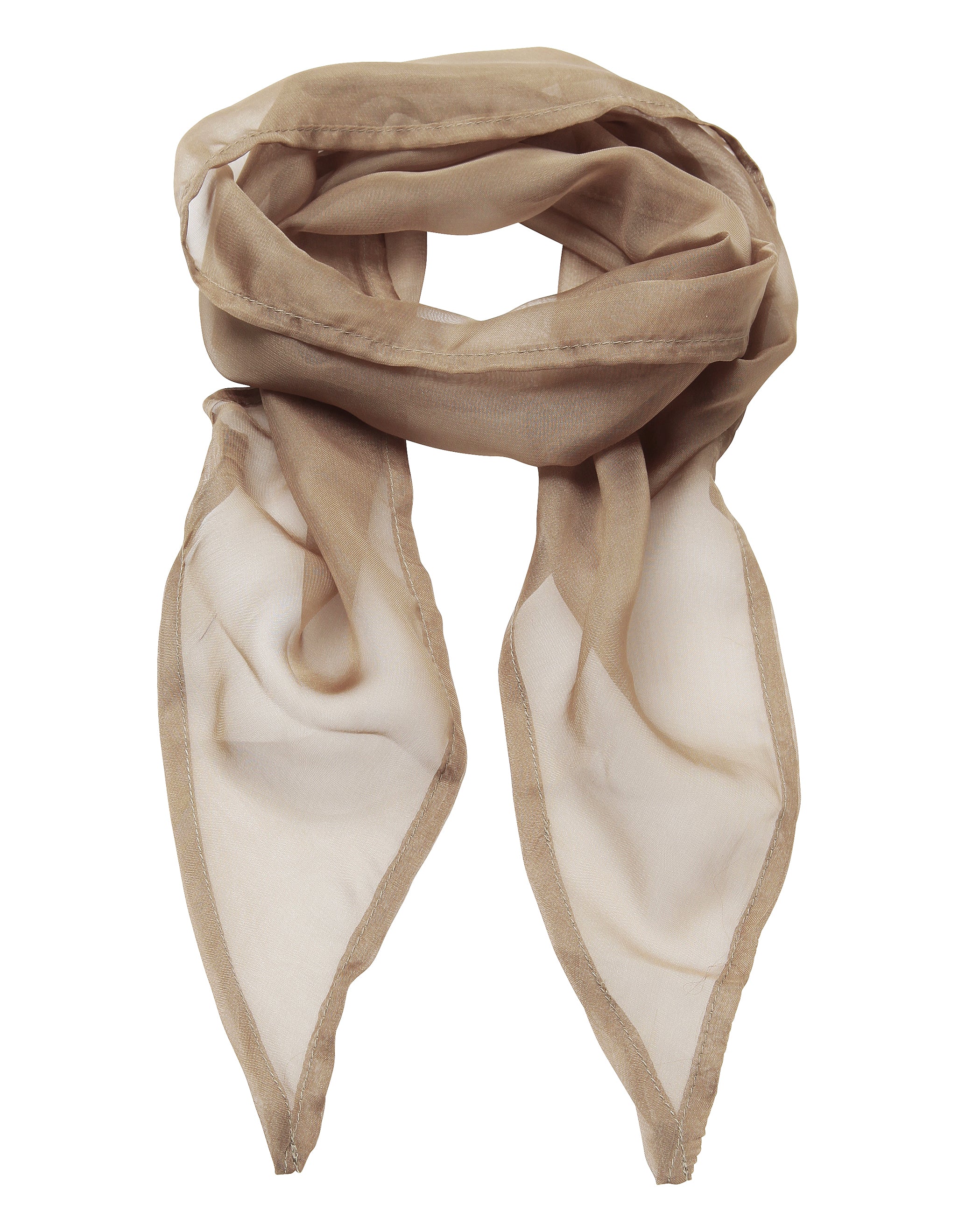 Chiffon Scarf