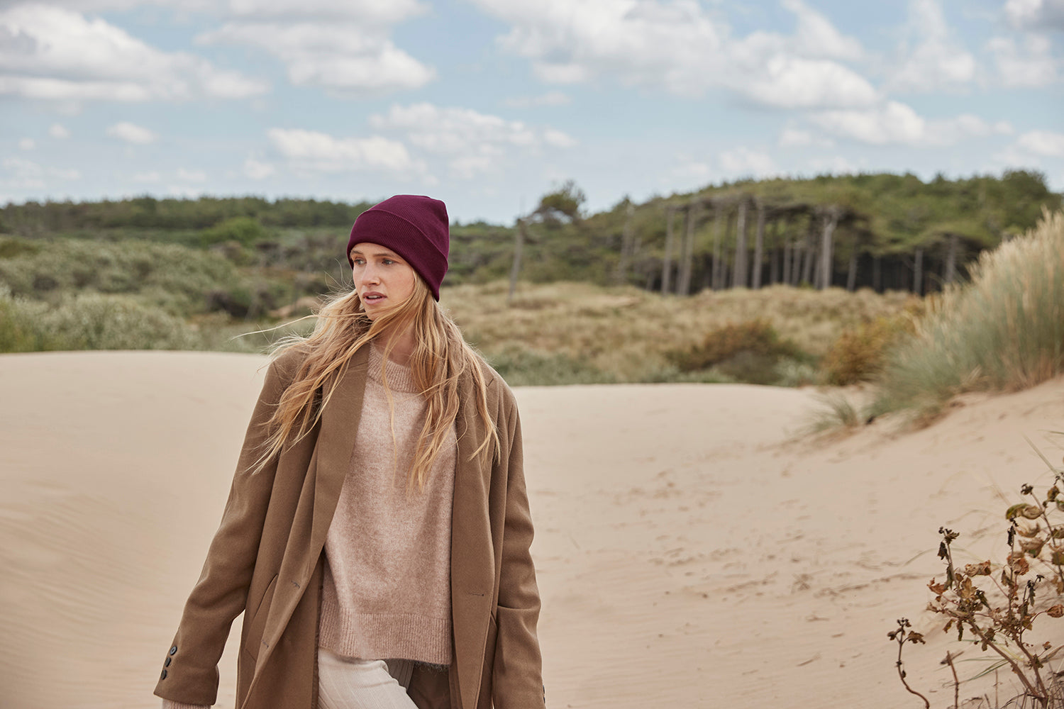 Organic Cotton Original Cuffed Beanie - BBB45N