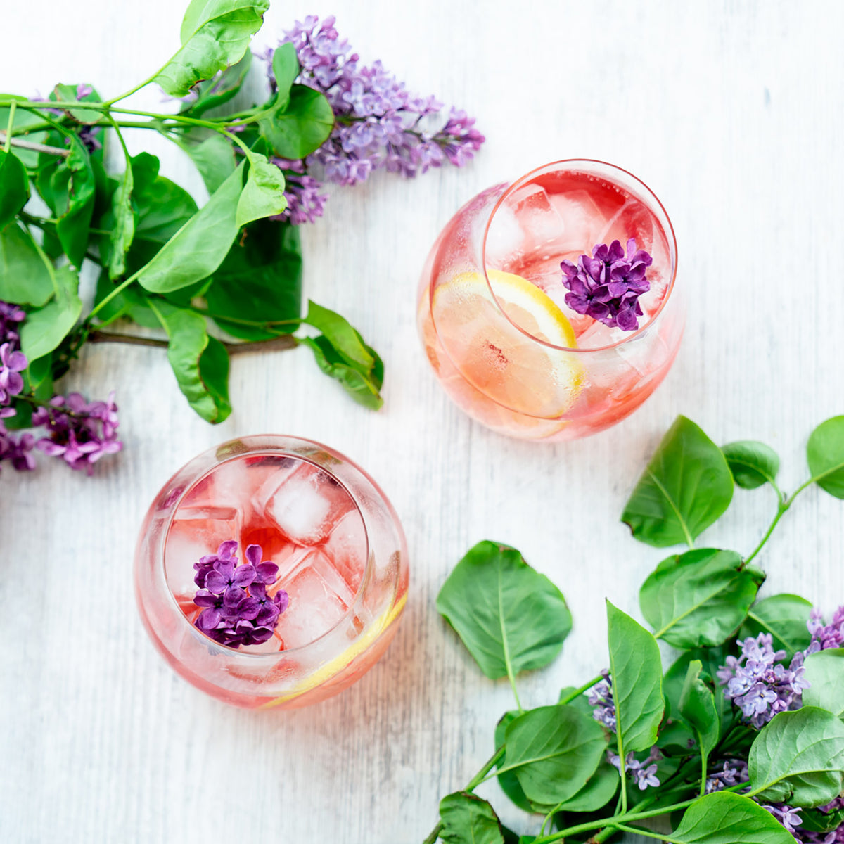 Gin & Tonic 4 stk. - QR541467